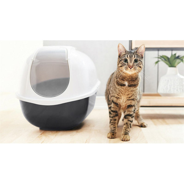 Kitty Litter Cupboard Wayfair.co.uk